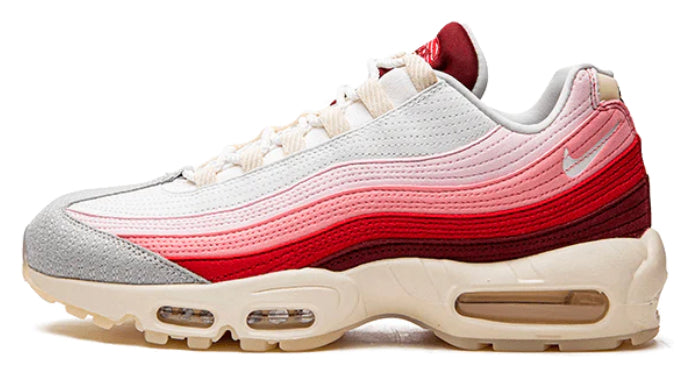 Nike Air Max 95 Anatomy of Air
