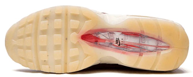Nike Air Max 95 Anatomy of Air